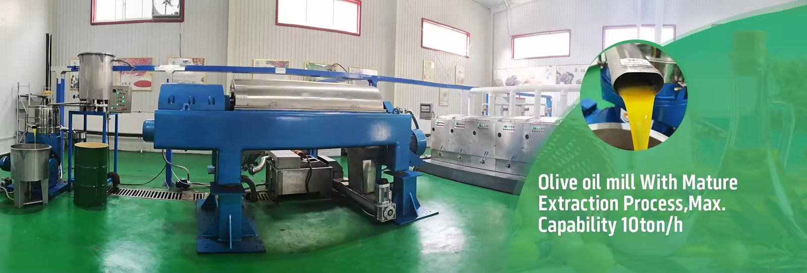 Máquina de óleo de abacate