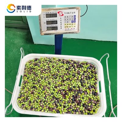 Extração por separação de 2 fases EVOO-500 Máquina de extração de azeite de oliva para óleo 500 kg/h