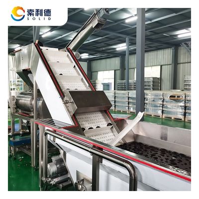 CPAO-1000 Máquina de produção de óleo de abacate virgem 1000 kg/h e linha de produção prensada a frio