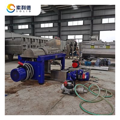 Centrifugadora de decantador de óleo de abacate extra virgem extra 500 kg/h para extração de óleo