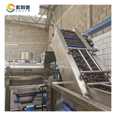 500 kg/h Linha de extracção de óleo de abacate prensada a frio, fabricada em SUS304 para 220V/415V/440V
