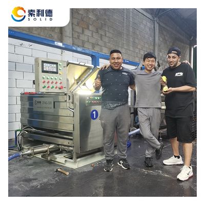 500 kg/h Linha de extracção de óleo de abacate prensada a frio, fabricada em SUS304 para 220V/415V/440V