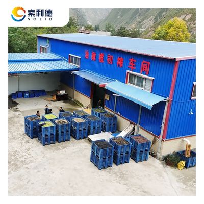 Capacidade máxima 2000kg/h 1500KG/h Máquina de prensagem a frio extra virgem extra de azeite de oliva por extração centrífuga de 2 fases