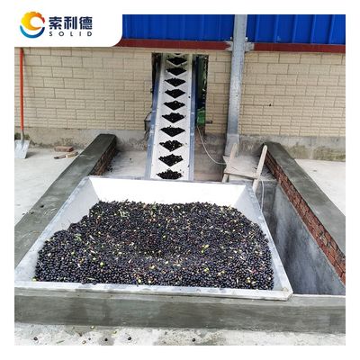 Extractor de azeite de oliva 5T/H Alimentado por 130kw Instalação e centrífuga de decantador de 3 fases