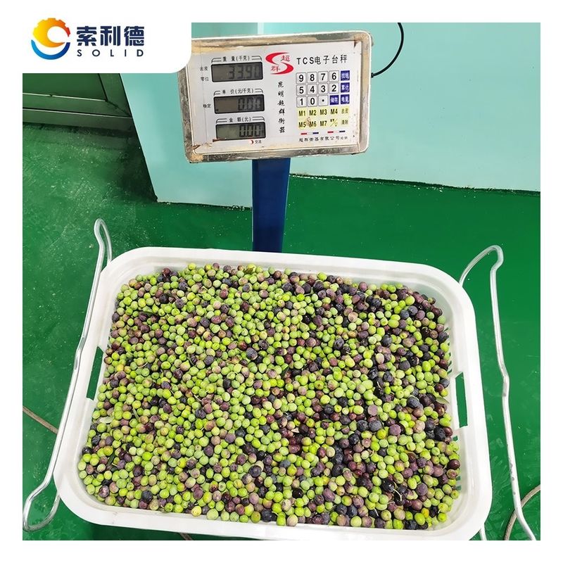 Extração por separação de 2 fases EVOO-500 Máquina de extração de azeite de oliva para óleo 500 kg/h