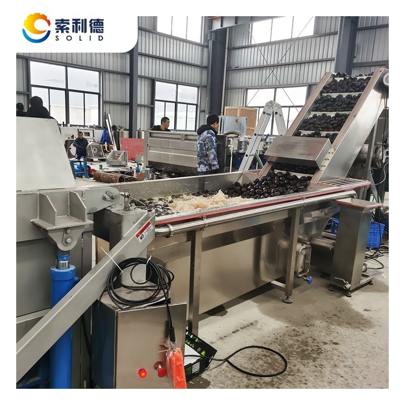 2000 kg/h Linha de produção de óleo de abacate virgem extra com centrífuga CPAO-2000
