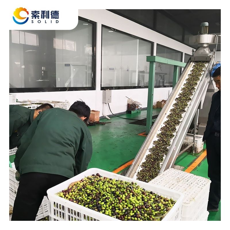 130kw de potência EVOO-5000 5000KG/H planta de processamento de azeite extra virgem para óleo